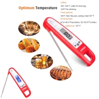 Foldable Backlit Food Thermometer