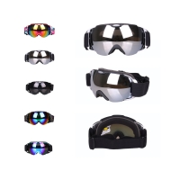 Ski Goggles