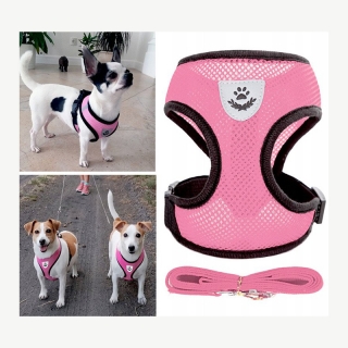 Pet Vest with Leash