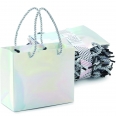 Metallic Silver Foil Film Gift Bag with Rope Handle