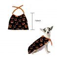 Halloween Pet Cape