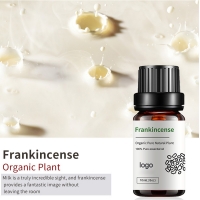 Frankincense Essential Oil