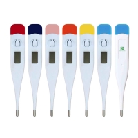 Digital Medical Thermometer